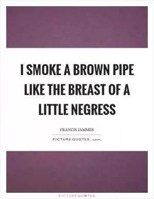 I smoke a brown pipe like the breast of a little negress Picture Quote #1