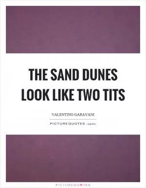 The sand dunes look like two tits Picture Quote #1