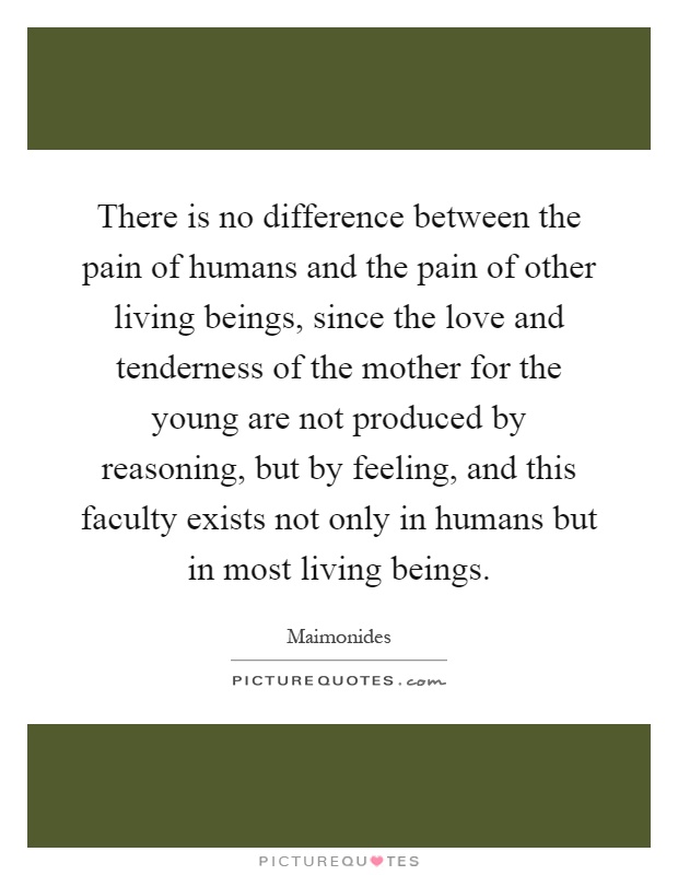 There is no difference between the pain of humans and the pain of other living beings, since the love and tenderness of the mother for the young are not produced by reasoning, but by feeling, and this faculty exists not only in humans but in most living beings Picture Quote #1