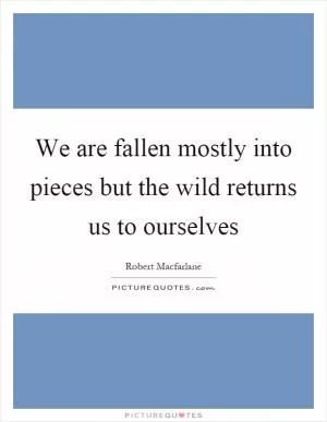 We are fallen mostly into pieces but the wild returns us to ourselves Picture Quote #1