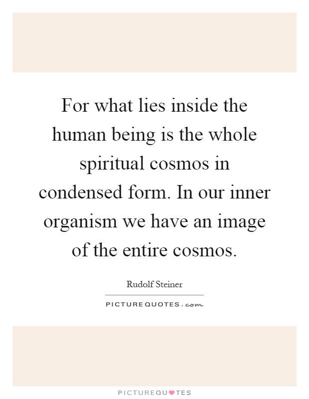 For what lies inside the human being is the whole spiritual cosmos in condensed form. In our inner organism we have an image of the entire cosmos Picture Quote #1