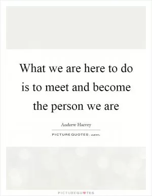 What we are here to do is to meet and become the person we are Picture Quote #1