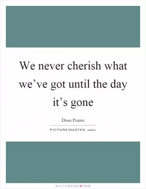 We never cherish what we’ve got until the day it’s gone Picture Quote #1