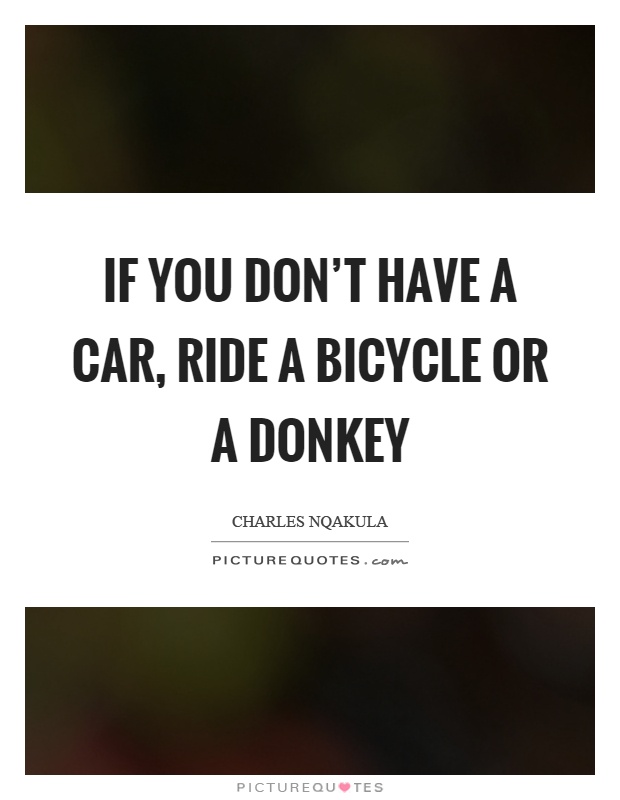 If you don't have a car, ride a bicycle or a donkey Picture Quote #1