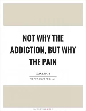 Not why the addiction, but why the pain Picture Quote #1