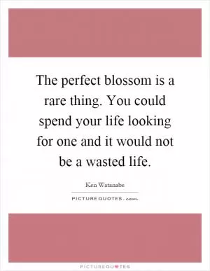 The perfect blossom is a rare thing. You could spend your life looking for one and it would not be a wasted life Picture Quote #1