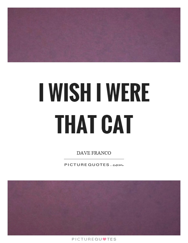 I wish I were that cat Picture Quote #1