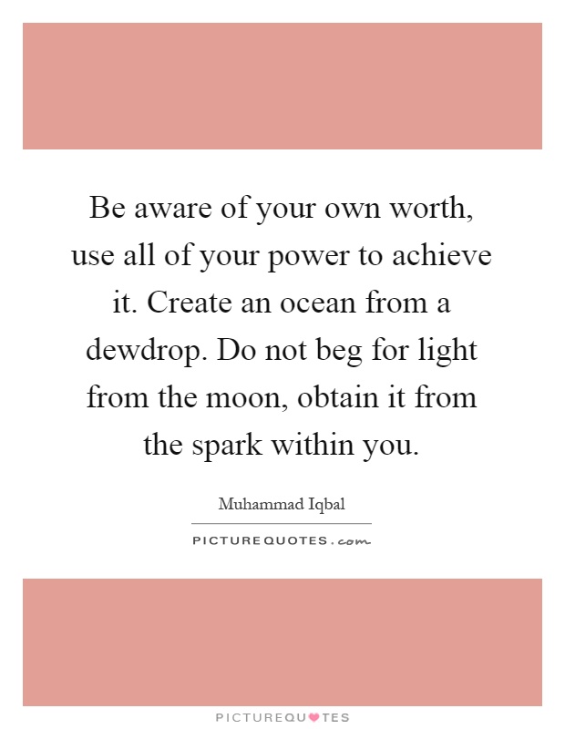 Be aware of your own worth, use all of your power to achieve it. Create an ocean from a dewdrop. Do not beg for light from the moon, obtain it from the spark within you Picture Quote #1