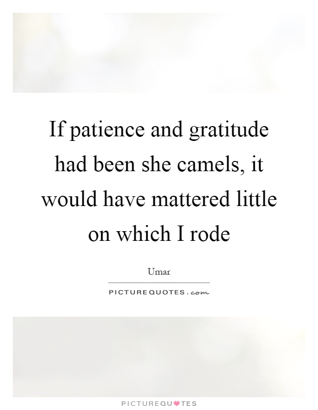 If patience and gratitude had been she camels, it would have mattered little on which I rode Picture Quote #1