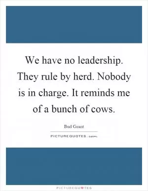We have no leadership. They rule by herd. Nobody is in charge. It reminds me of a bunch of cows Picture Quote #1