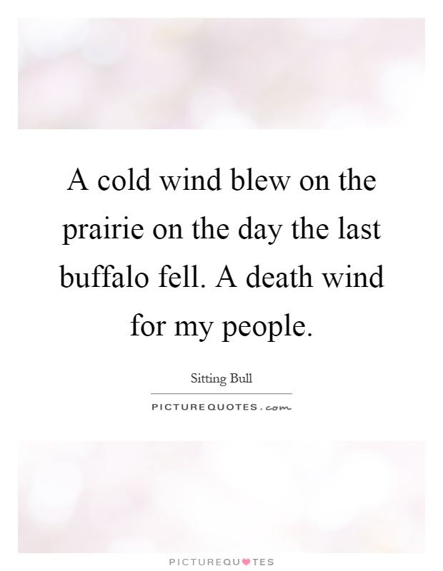 A cold wind blew on the prairie on the day the last buffalo fell. A death wind for my people Picture Quote #1