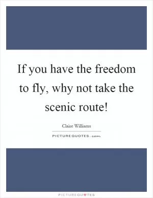 If you have the freedom to fly, why not take the scenic route! Picture Quote #1