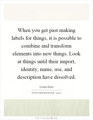 When you get past making labels for things, it is possible to combine and transform elements into new things. Look at things until their import, identity, name, use, and description have dissolved Picture Quote #1