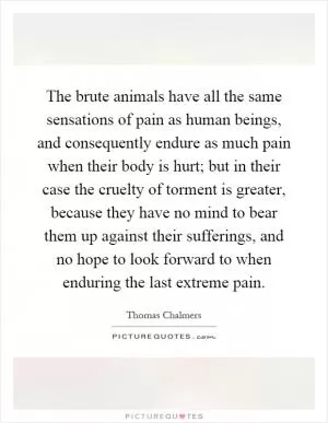 The brute animals have all the same sensations of pain as human beings, and consequently endure as much pain when their body is hurt; but in their case the cruelty of torment is greater, because they have no mind to bear them up against their sufferings, and no hope to look forward to when enduring the last extreme pain Picture Quote #1