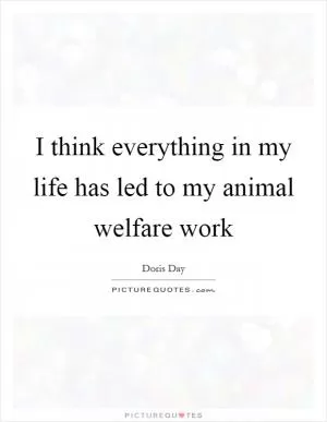 I think everything in my life has led to my animal welfare work Picture Quote #1