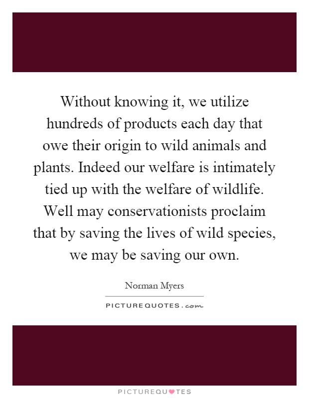 Without knowing it, we utilize hundreds of products each day that owe their origin to wild animals and plants. Indeed our welfare is intimately tied up with the welfare of wildlife. Well may conservationists proclaim that by saving the lives of wild species, we may be saving our own Picture Quote #1