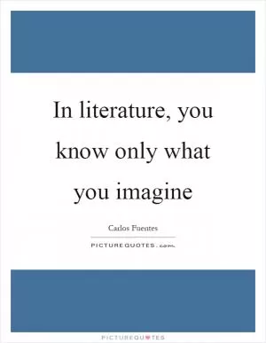 In literature, you know only what you imagine Picture Quote #1