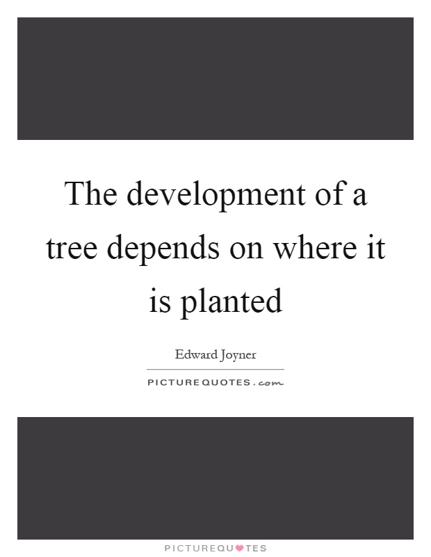 The development of a tree depends on where it is planted Picture Quote #1