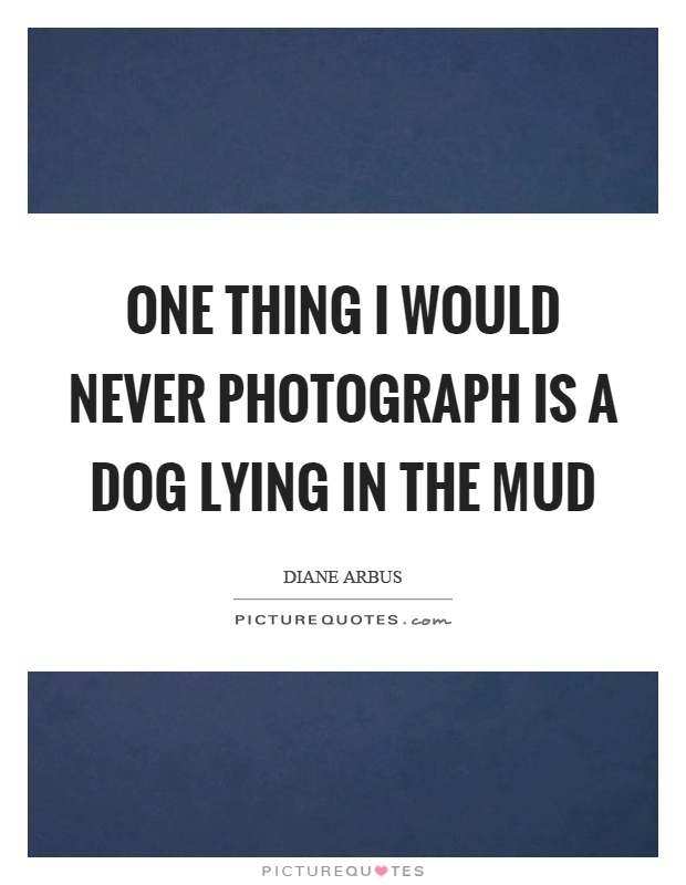 One thing I would never photograph is a dog lying in the mud Picture Quote #1