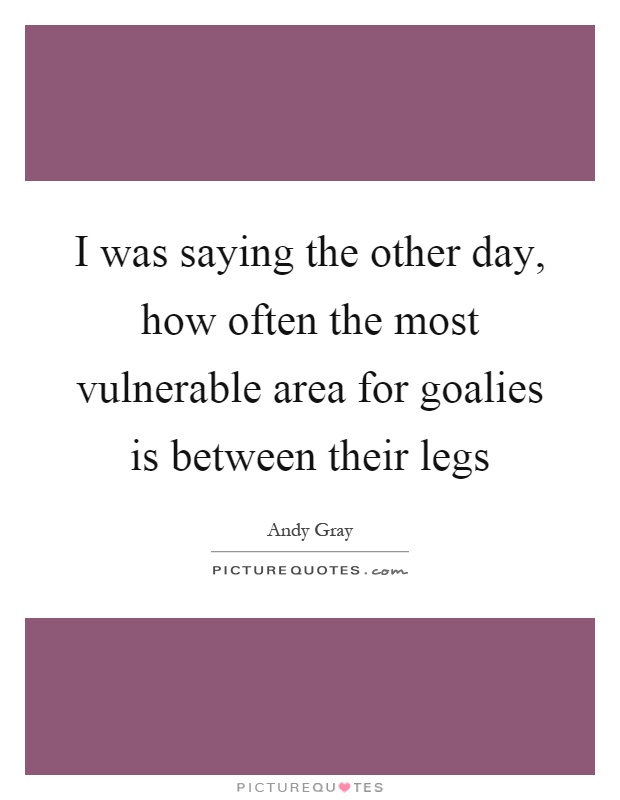 I was saying the other day, how often the most vulnerable area for goalies is between their legs Picture Quote #1