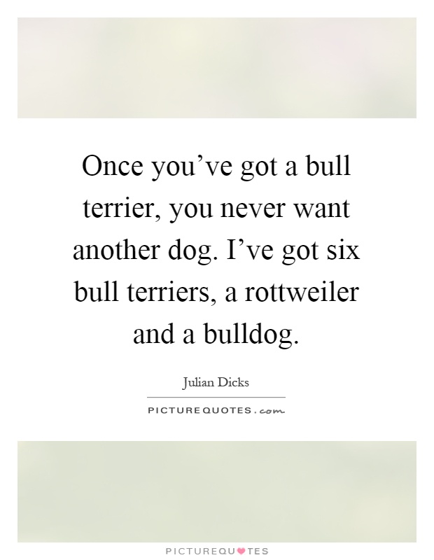Once you've got a bull terrier, you never want another dog. I've got six bull terriers, a rottweiler and a bulldog Picture Quote #1