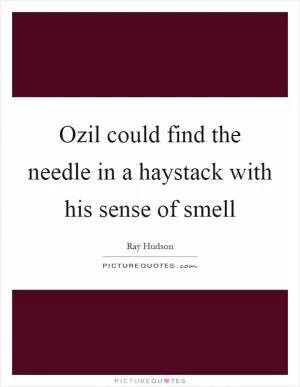 Ozil could find the needle in a haystack with his sense of smell Picture Quote #1