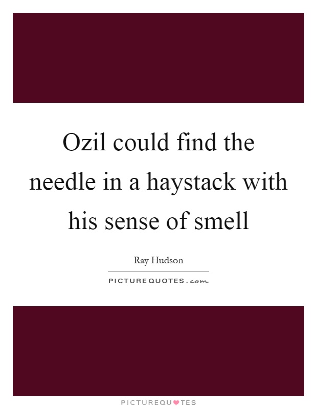 Ozil could find the needle in a haystack with his sense of smell Picture Quote #1