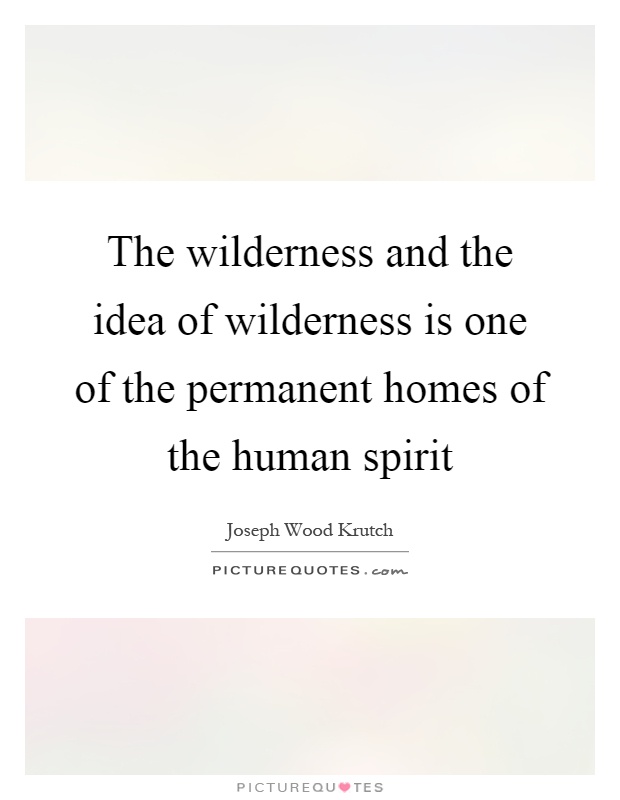 The wilderness and the idea of wilderness is one of the permanent homes of the human spirit Picture Quote #1