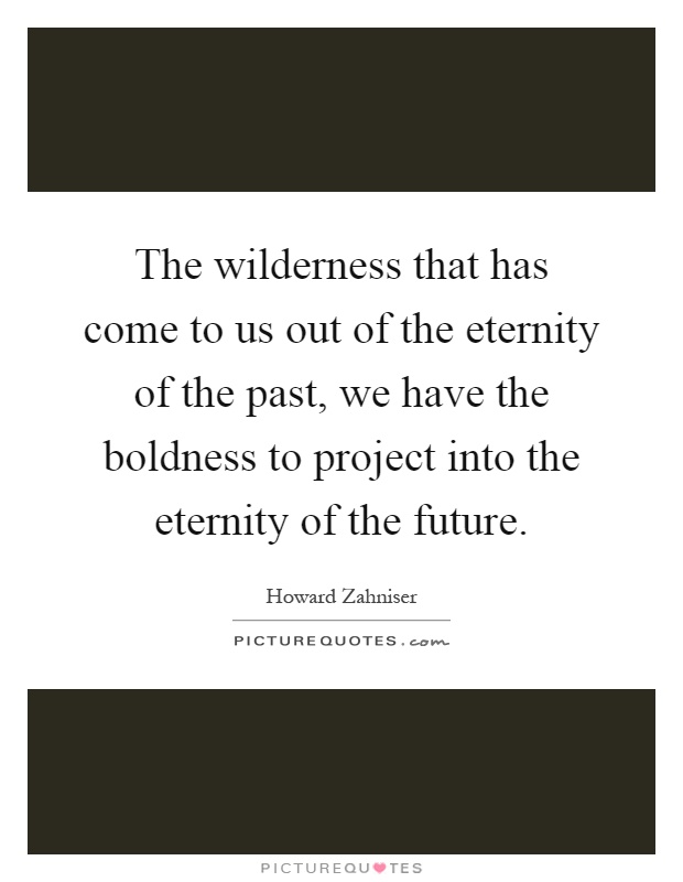 The wilderness that has come to us out of the eternity of the past, we have the boldness to project into the eternity of the future Picture Quote #1