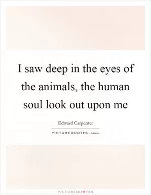 I saw deep in the eyes of the animals, the human soul look out upon me Picture Quote #1