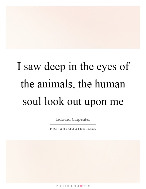 I saw deep in the eyes of the animals, the human soul look out upon me Picture Quote #1