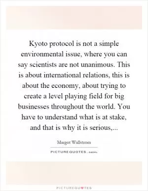 Kyoto protocol is not a simple environmental issue, where you can say scientists are not unanimous. This is about international relations, this is about the economy, about trying to create a level playing field for big businesses throughout the world. You have to understand what is at stake, and that is why it is serious, Picture Quote #1
