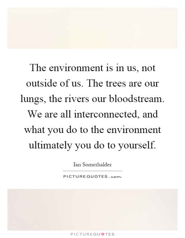 The environment is in us, not outside of us. The trees are our lungs, the rivers our bloodstream. We are all interconnected, and what you do to the environment ultimately you do to yourself Picture Quote #1