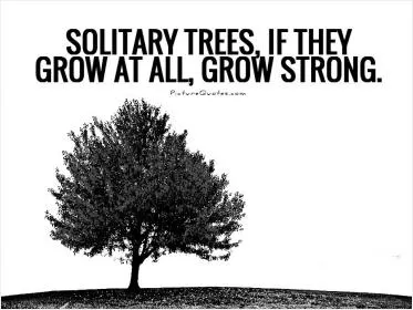 Solitary trees, if they grow at all, grow strong Picture Quote #1