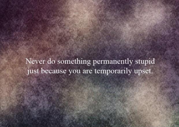 Never do something permanently stupid just because you are temporarily upset Picture Quote #1
