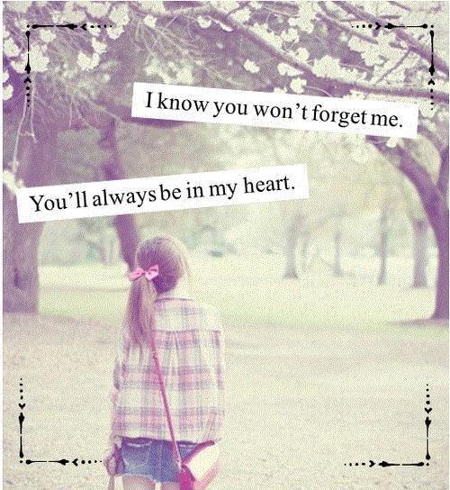 I know you won't forget me. You'll always be in my heart Picture Quote #1