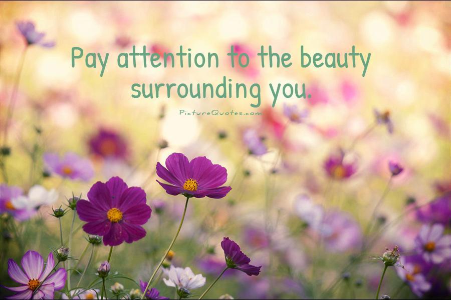 Pay attention to the beauty surrounding you Picture Quote #1