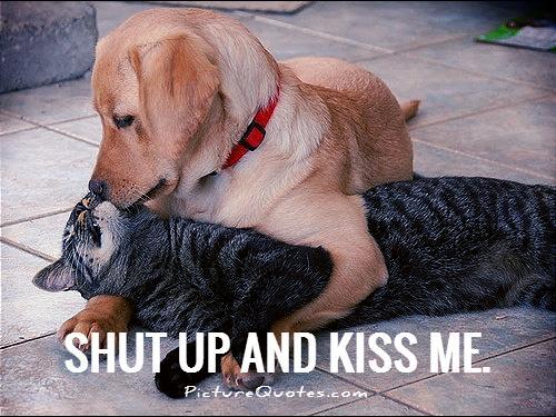 Shut up and kiss me Picture Quote #3