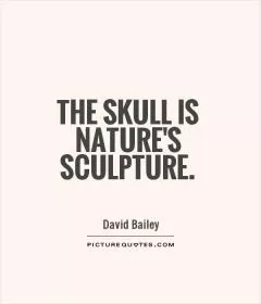The skull is nature's sculpture Picture Quote #1