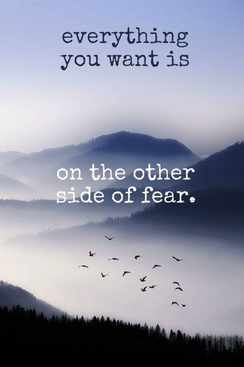 Everything you want is on the other side of fear Picture Quote #2