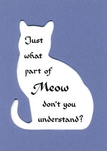 Just what part of meow don't you understand Picture Quote #1
