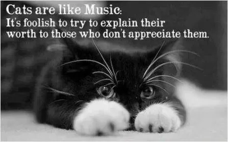 Cats are like music. It's foolish to try to explain their worth to those who don't appreciate them Picture Quote #1