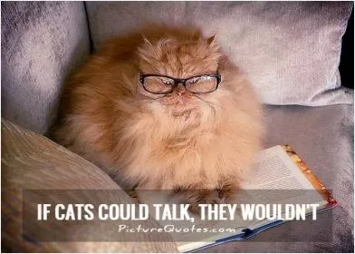 If cats could talk, they wouldn't Picture Quote #1