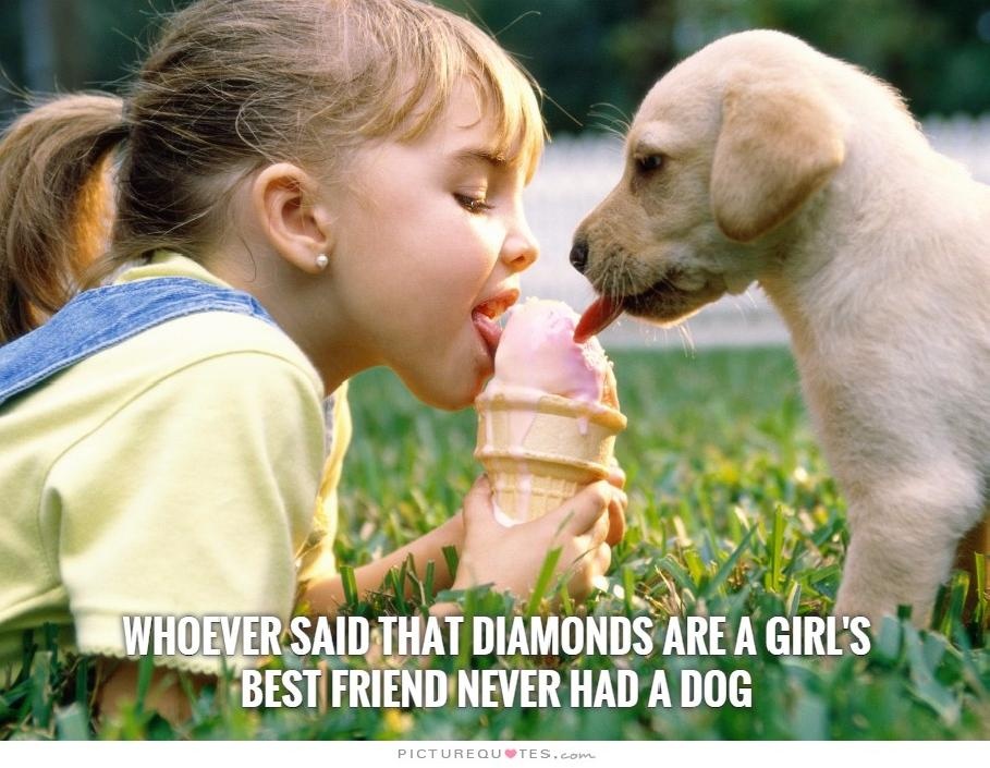 Whoever said that diamonds are a girl's best friend never had a dog Picture Quote #2