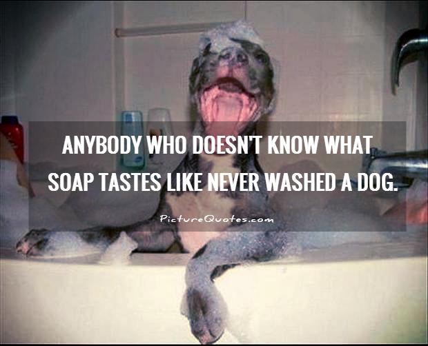 Anybody who doesn't know what soap tastes like never washed a dog Picture Quote #1