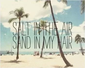 Salt in the air. Sand in my hair Picture Quote #1