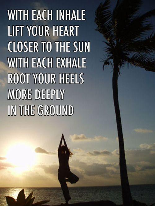 With each inhale, lift your heart closer to the sun, with each exhale root your heels more deeply i the ground Picture Quote #1