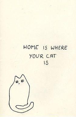 Home is where your cat is Picture Quote #2