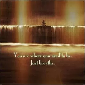 You are where you need to be. Just breathe Picture Quote #1
