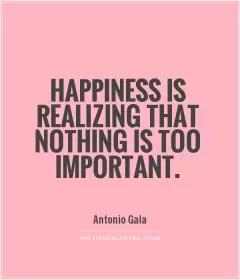 Happiness is realizing that nothing is too important Picture Quote #1